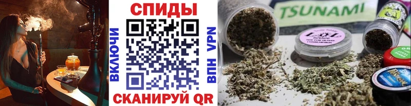 БУТИРАТ буратино Кирс