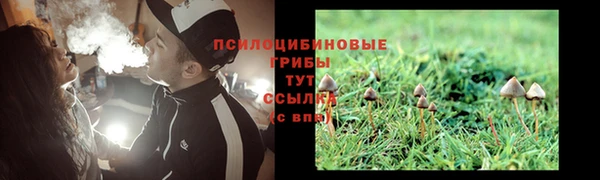 гашик Покров
