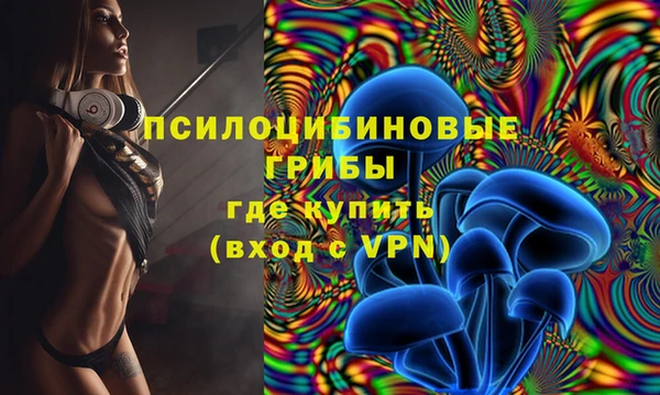 таблы Алзамай