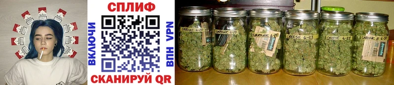 Бошки марихуана THC 21%  Кирс 